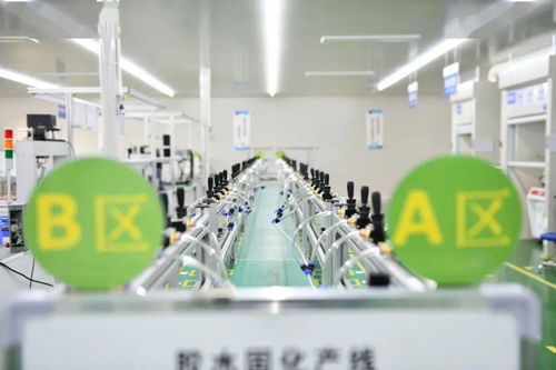 打好培育組合拳 讓企業(yè)都有 絕活