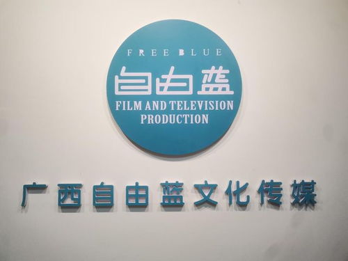 央媒品牌天下播報全國亞健康標準化建設新聞發(fā)布會在廣西南寧召開